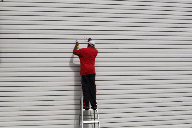 Best Steel Siding Installation  in Spencerville, NM